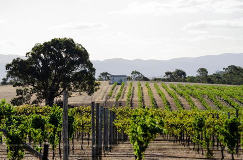 Hounds Run Vineyard - Tiny House In The Grampians - New South Wales Tourism  1