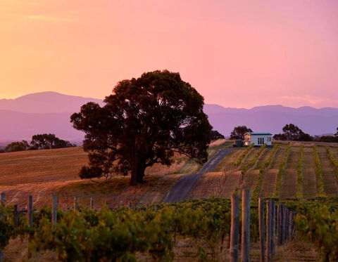 Hounds Run Vineyard - Tiny House In The Grampians - New South Wales Tourism  0