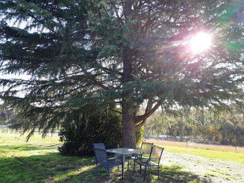 Indigo Vineyard Farmstay - New South Wales Tourism  2