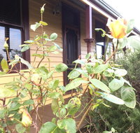 Albion Cottage - New South Wales Tourism 
