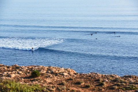 Aldinga Beach Experience - New South Wales Tourism  3