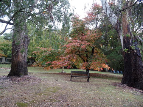 Alpine Park Riverside Cottages - New South Wales Tourism  2