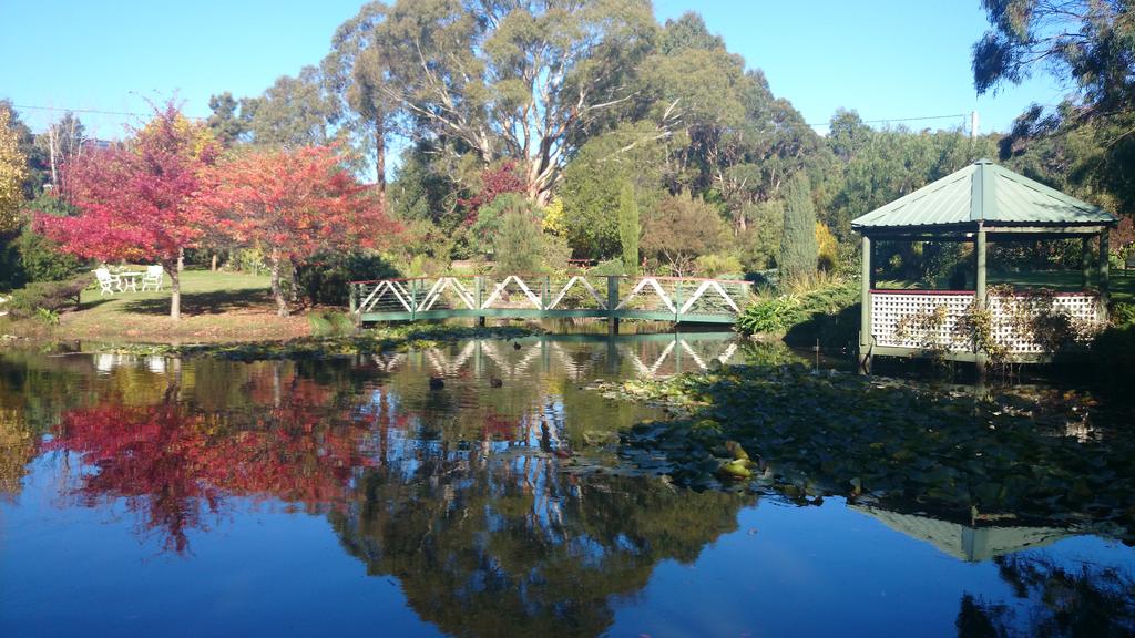 South Spreyton TAS New South Wales Tourism 