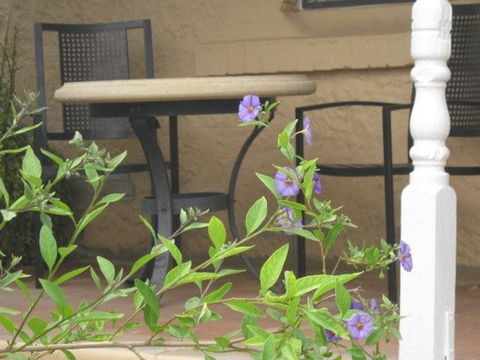 Amalie Cottage Waikerie - New South Wales Tourism  0