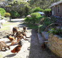 Anchorage Apartments - New South Wales Tourism 