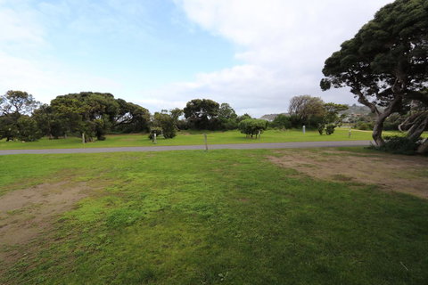 Anglesea Family Caravan Park - New South Wales Tourism  2