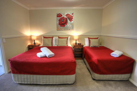 Apple & Grape Motel - New South Wales Tourism  2
