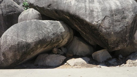 Arcadia Palms Unit 2 - New South Wales Tourism  3