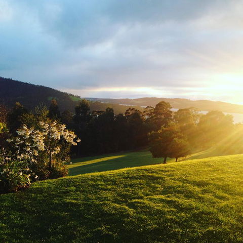 Arjuna Ridge Bed And Breakfast - New South Wales Tourism  3
