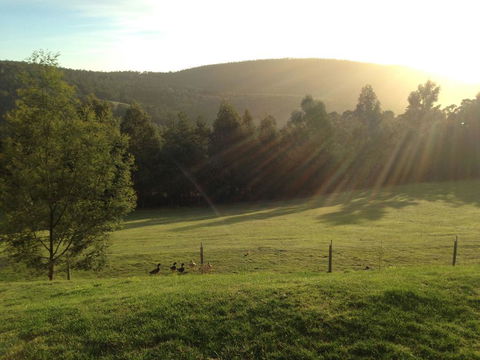 Arjuna Ridge Bed And Breakfast - New South Wales Tourism  0
