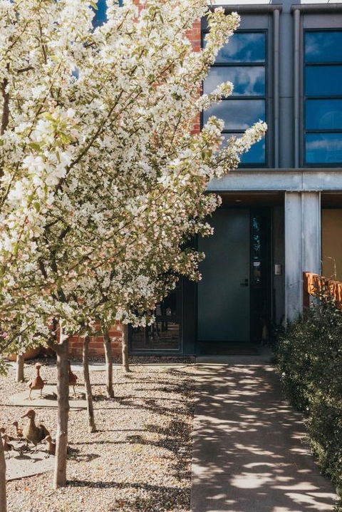 Mews Cottages - New South Wales Tourism  2