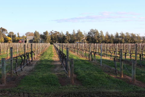 Milawa Vineyard Views - Guesthouse 1 - New South Wales Tourism  2