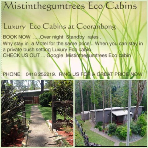 Mistinthegumtrees Eco Luxury Cabins - New South Wales Tourism  2