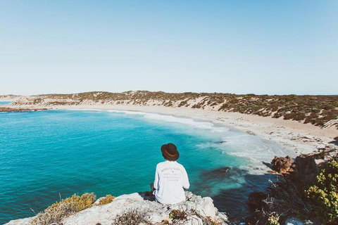 Modern House Close To CBD & Adelaide Oval - New South Wales Tourism  3