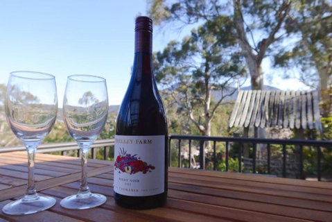 Mountains And Treetops Retreat - Nature Getaway - New South Wales Tourism  2
