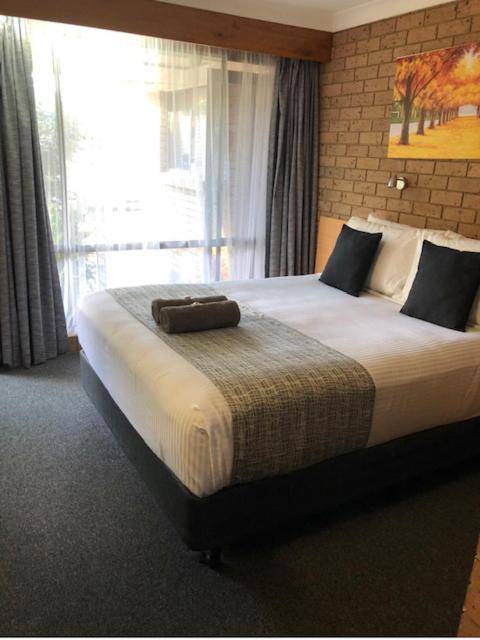 Muswellbrook Motor Inn - New South Wales Tourism  2
