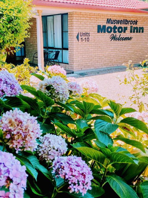 Muswellbrook Motor Inn - New South Wales Tourism  0