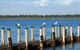 Nature Lovers Dream In Dawesville - thumb 0