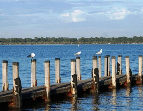 Nature Lovers Dream In Dawesville - New South Wales Tourism  0