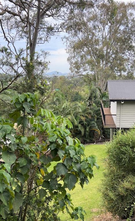 New - Our Treehouse Near Alex Beach - New South Wales Tourism  2