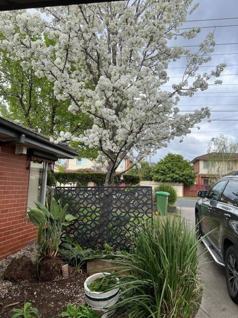 Newly Refurbished House- SuperFast Internet - New South Wales Tourism  2