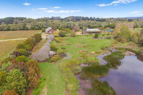 Northway Downs Estate Vineyard - New South Wales Tourism  2