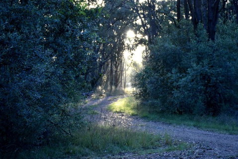 On Bell Glamping - New South Wales Tourism  3