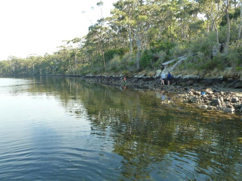 Oyster Shack - New South Wales Tourism  2