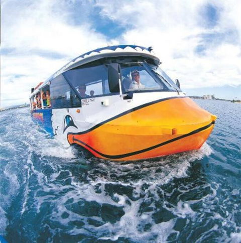 Paradise City Lights - Privately Managed Luxury Suite On Hilton Surfers Paradise Free Carpark - New South Wales Tourism  1