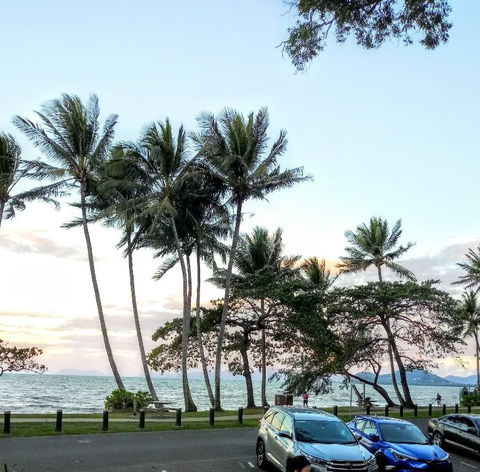 Paradise In The Tropics - New South Wales Tourism  1