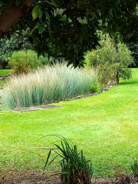 Paradise In The Tropics - New South Wales Tourism  3