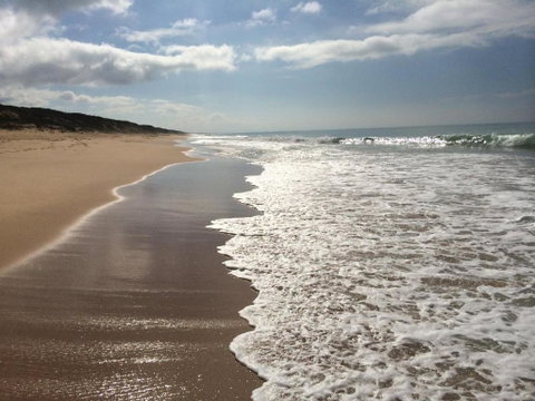 Paradise On The Boulevard - 90 Mile Beach Holiday Home - New South Wales Tourism  1