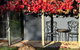 Peaceful Getaway In Stunning Bush Setting - thumb 1