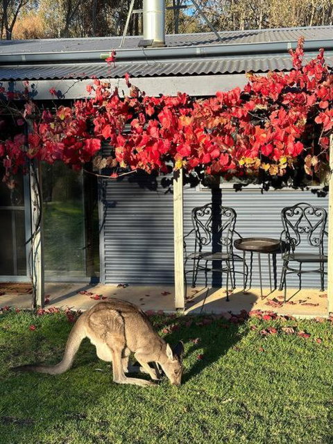 Peaceful Getaway In Stunning Bush Setting - New South Wales Tourism  1