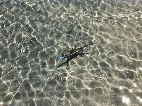 Peppermint Grove Beach Holiday Park - New South Wales Tourism  1