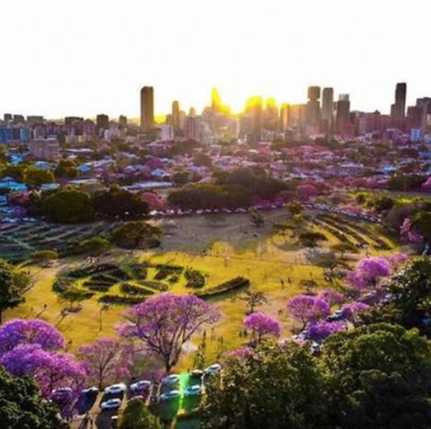 Perfect Haven In Spring Hill 2B1B And Parking - New South Wales Tourism  2