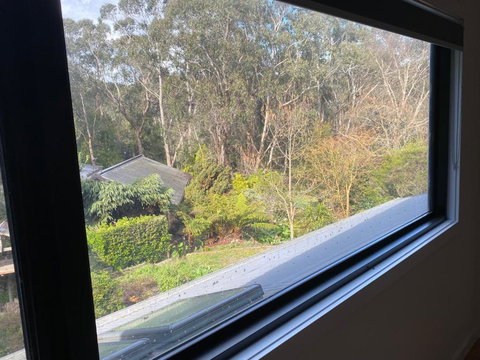 Pet And Friends B&B - New South Wales Tourism  3