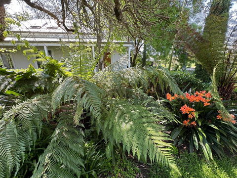 Petschel House - New South Wales Tourism  3
