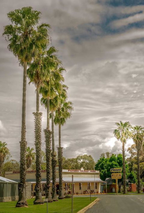 Pioneer Tourist Park - New South Wales Tourism  1