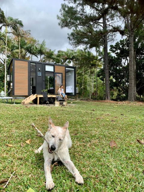 Piyar Tiny Haven By Tiny Away - New South Wales Tourism  0