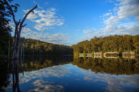 RAC Karri Valley Resort - New South Wales Tourism  3