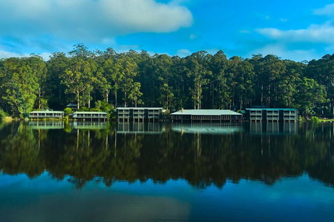 RAC Karri Valley Resort - New South Wales Tourism  2