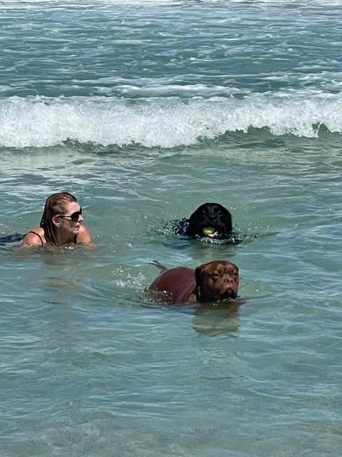 Quelle Vue Huskisson - New South Wales Tourism  1