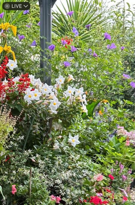 Quiet Comfort For Relaxing Stays - New South Wales Tourism  0