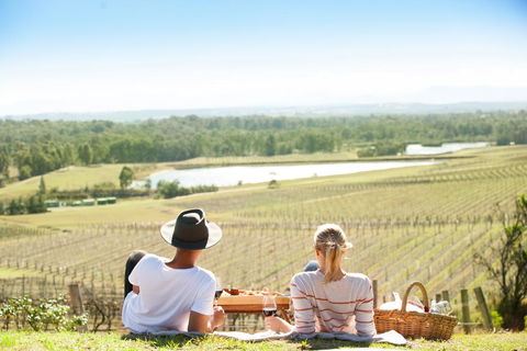 Audrey Wilkinson Vineyard - New South Wales Tourism  0