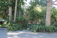 Book Macclesfield Accommodation Vacations New South Wales Tourism New South Wales Tourism 