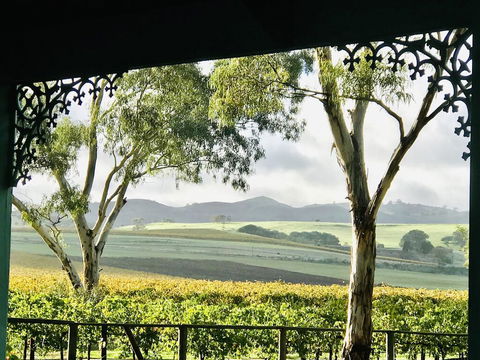 Azalea Cedar-Rose Barossa Valley Villa - New South Wales Tourism  1