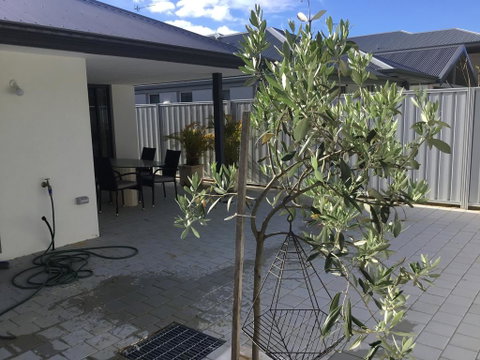 Azure@Ramada - New South Wales Tourism  1