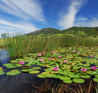 Barrington Hideaway- River Cottages - New South Wales Tourism 