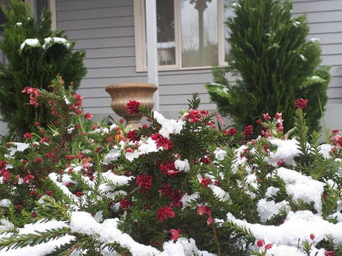 Barton Mill At Marysville - New South Wales Tourism  1